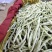 南阳四季豆白芸豆白不老大量供货产地直供供全国商