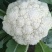 有机花菜精品松花菜无虫无腐烂协助找车找货源全国发