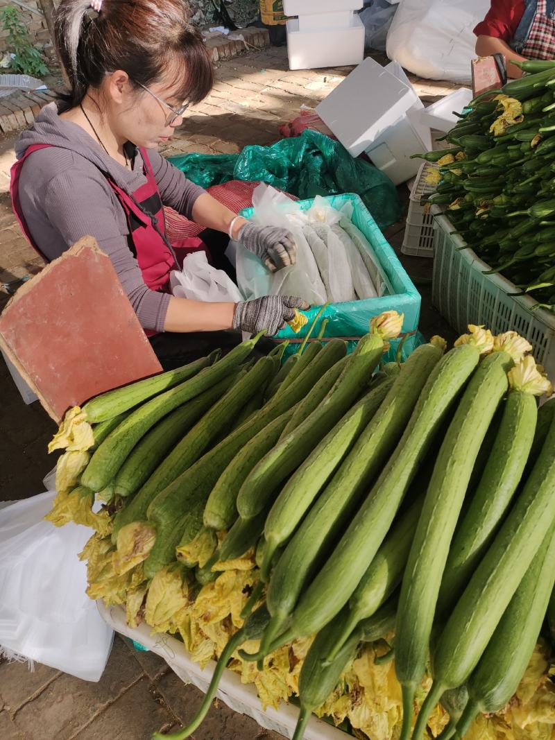 鲜花合作社供货分拣带包提供袋子箱子有小工备货快