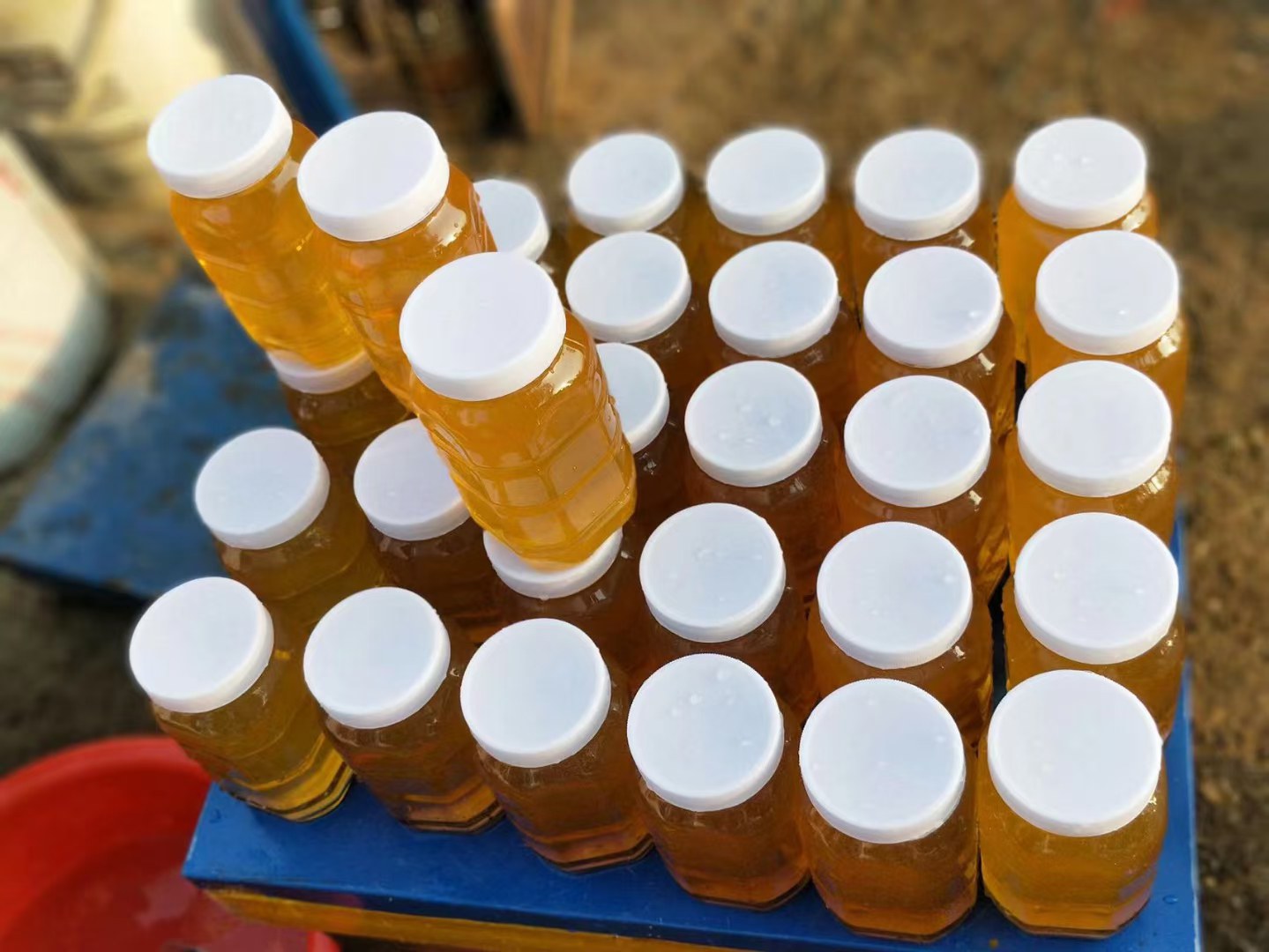 不同种类蜂蜜与燕麦搭配对比图