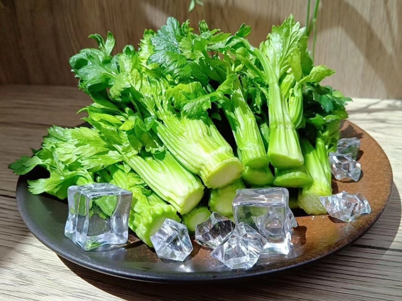 精品菜清芹芽用于酒店、零售市场、食堂