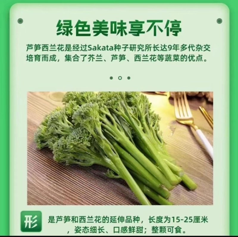 精品菜澳洲西兰花又称芦笋西兰花甜杆西兰花！