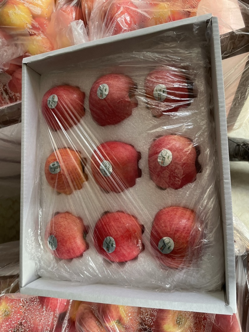 丑梨，苹果