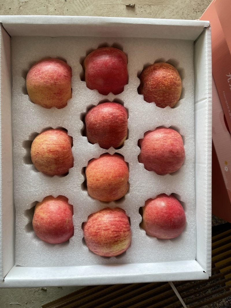 丑梨，苹果