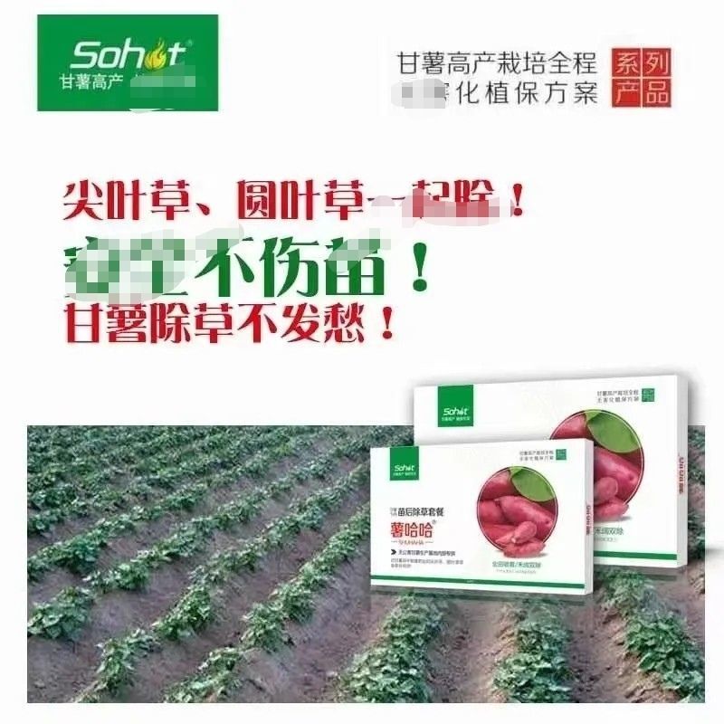 薯哈哈苗后除草剂除草剂不伤苗的除草剂