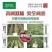薯哈哈苗后除草剂除草剂不伤苗的除草剂