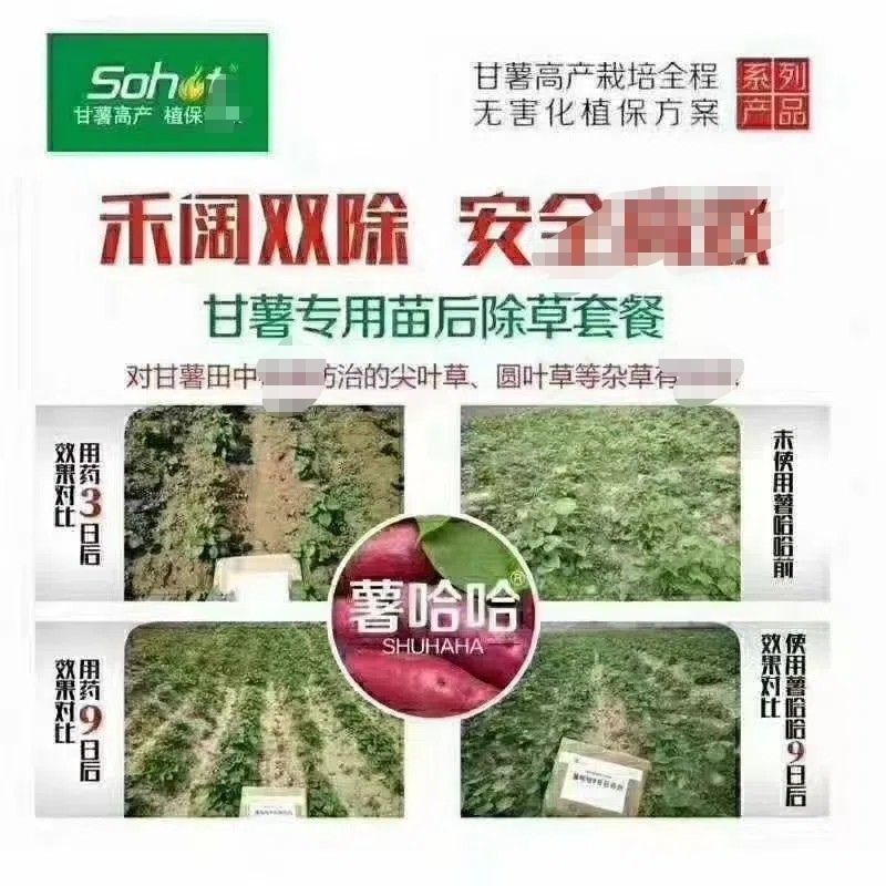 薯哈哈苗后除草剂除草剂不伤苗的除草剂