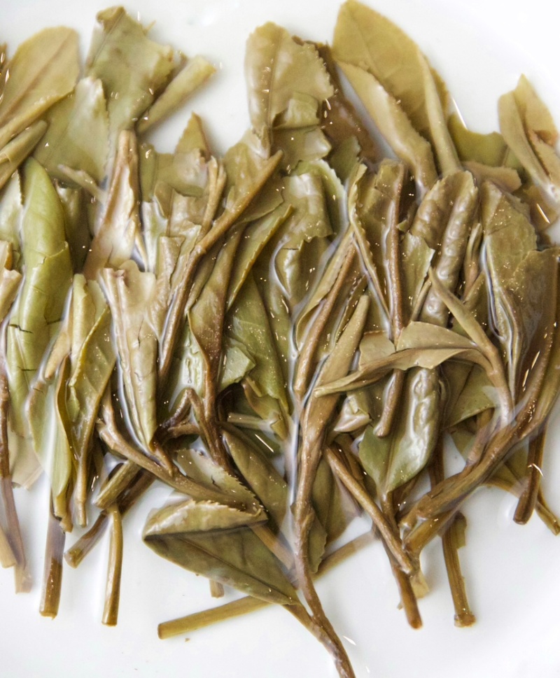 福鼎白茶春茶2019老树寿眉散茶50克1盒一套2盒