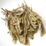 福鼎白茶春茶2019老树寿眉散茶50克1盒一套2盒