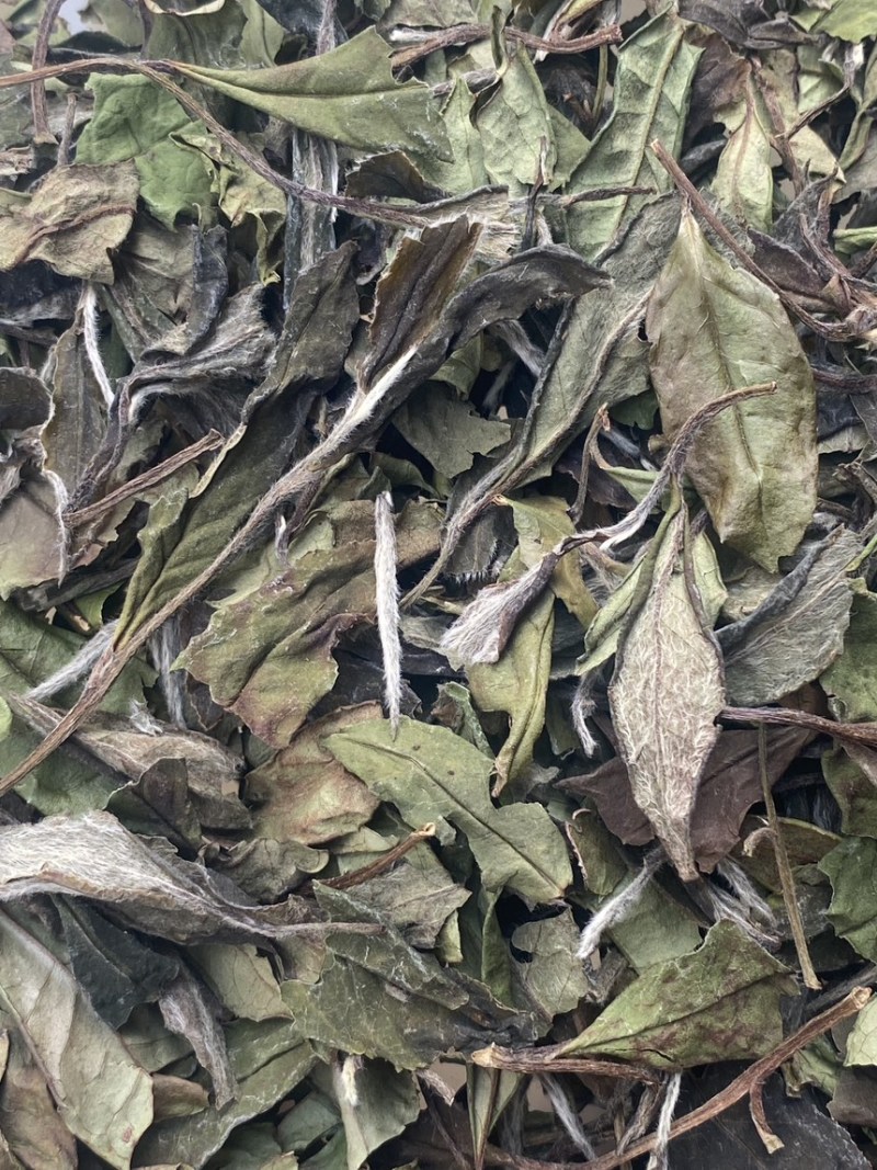 福鼎白茶春茶2019老树寿眉散茶50克1盒一套2盒