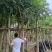 15分骨架3叉起还有各种规格保证质量严守把关货到出现