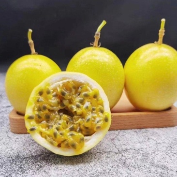 钦密9号百香果