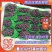 河北唐山乐亭茉莉香葡着色香大量上市口感甜颜色正