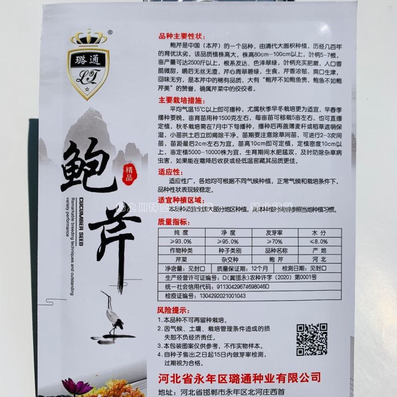 礼品芹菜种子鲍芹种子基地专用菜籽芹香味浓无丝无渣