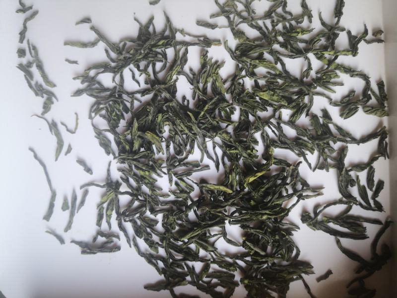 2023年新茶六安瓜片通货