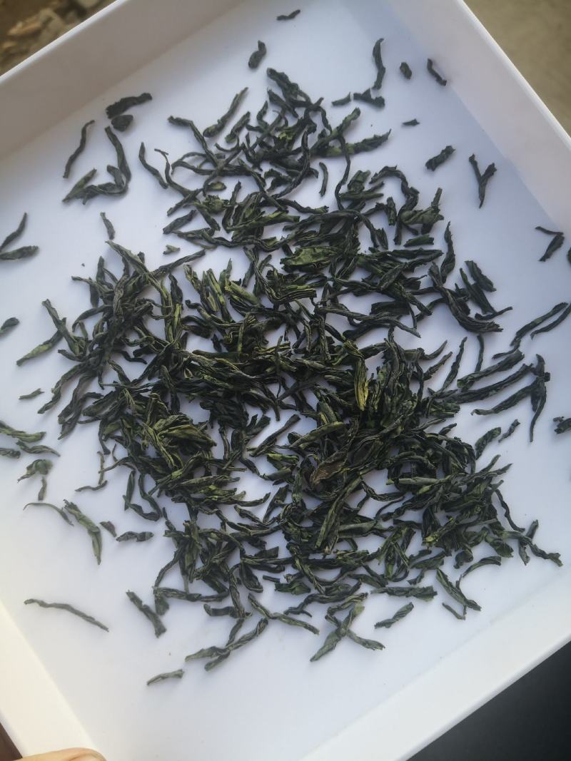 2023年新茶六安瓜片通货