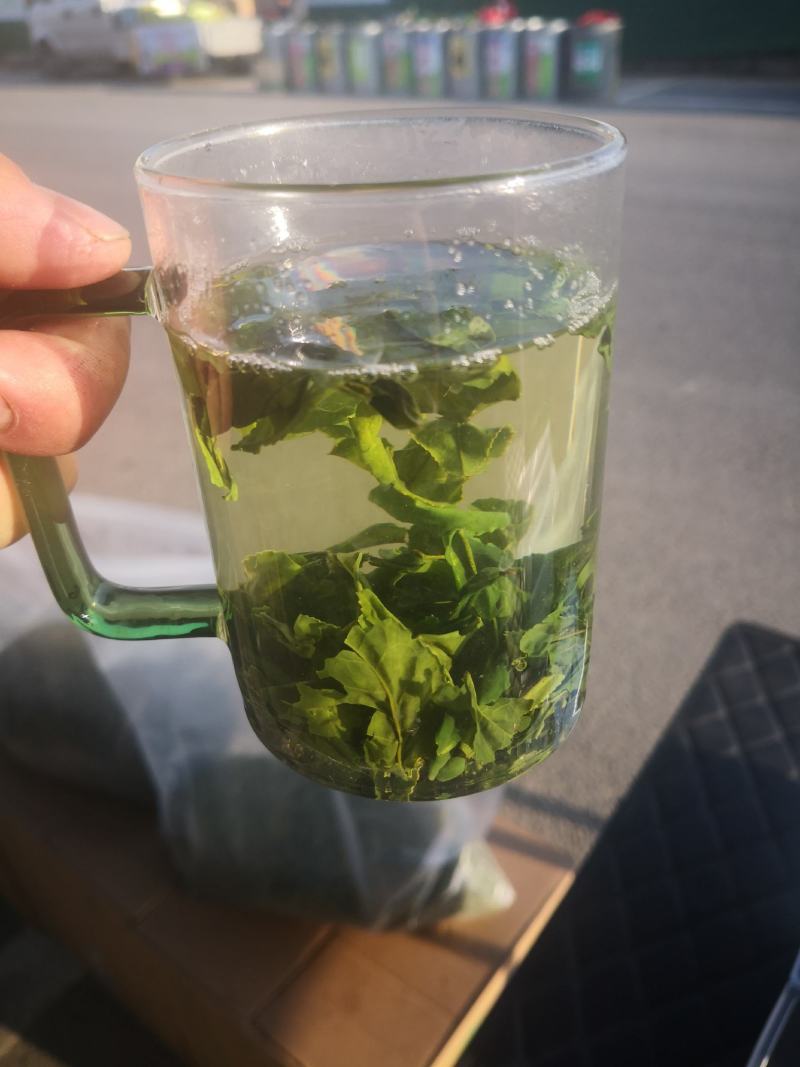 2023年新茶六安瓜片通货