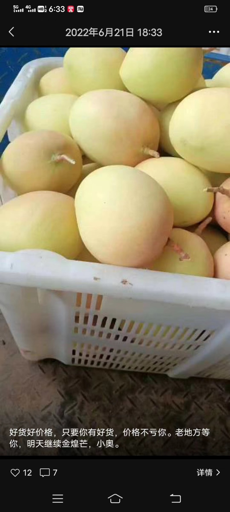 云南保山热带精品芒果