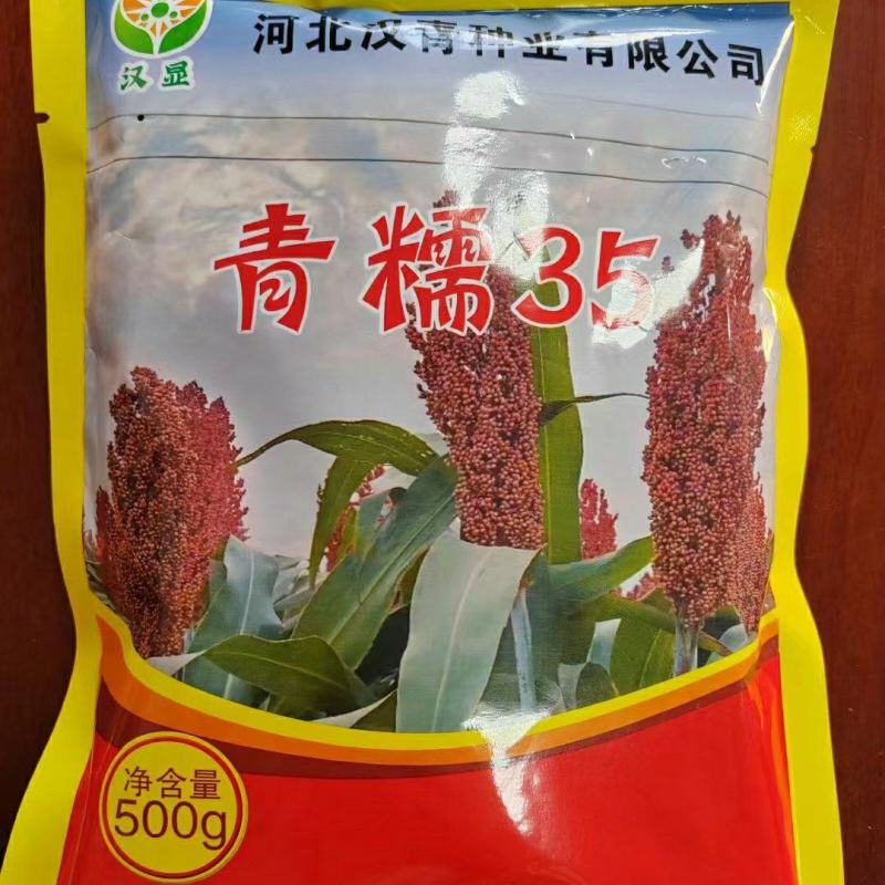 汉青种业有限公司——青糯35，生育期135天积温2800