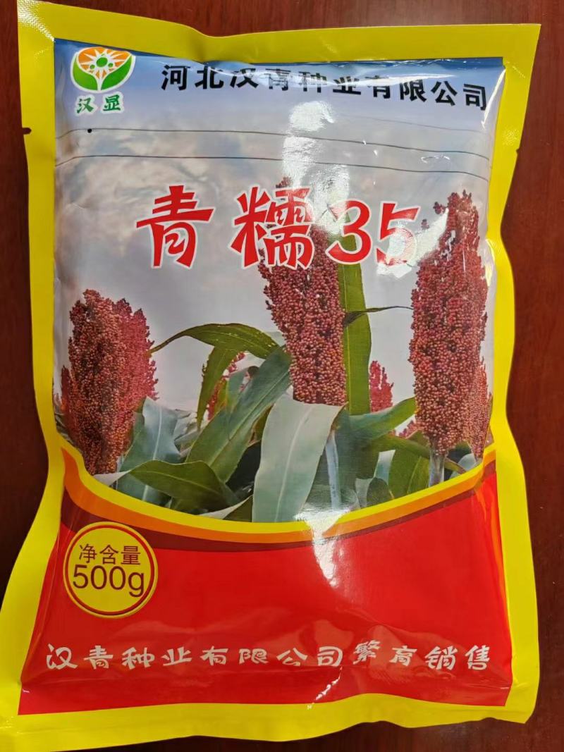 汉青种业有限公司——青糯35，生育期135天积温2800