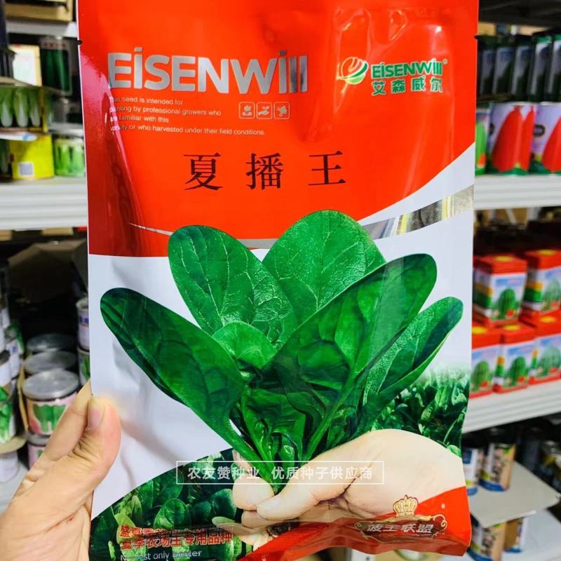 夏季专用抗热菠菜种子夏播丹麦进口菠菜种籽特耐热菠菜籽