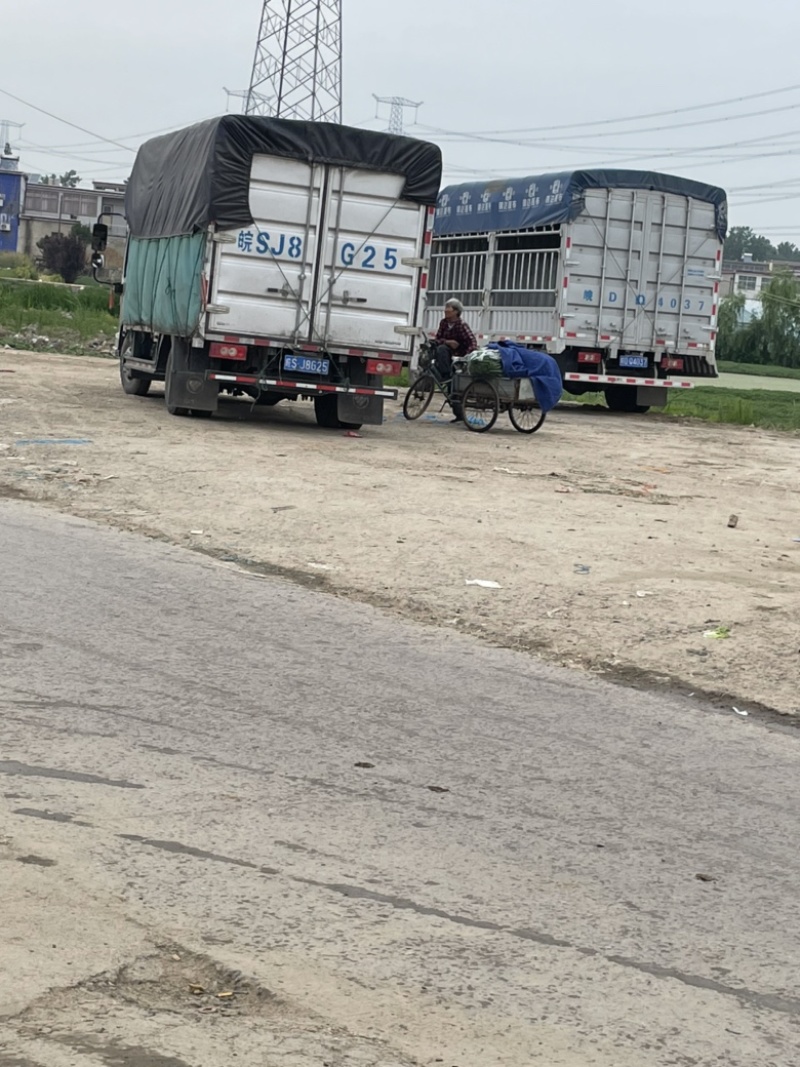需要的朋友可以联系我