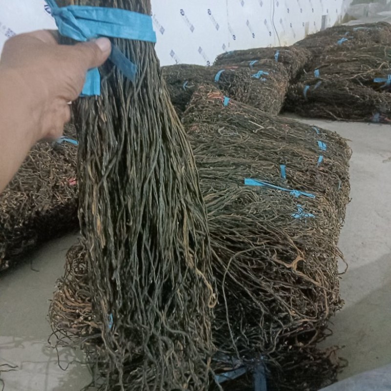 精品晒干豆角大量有货