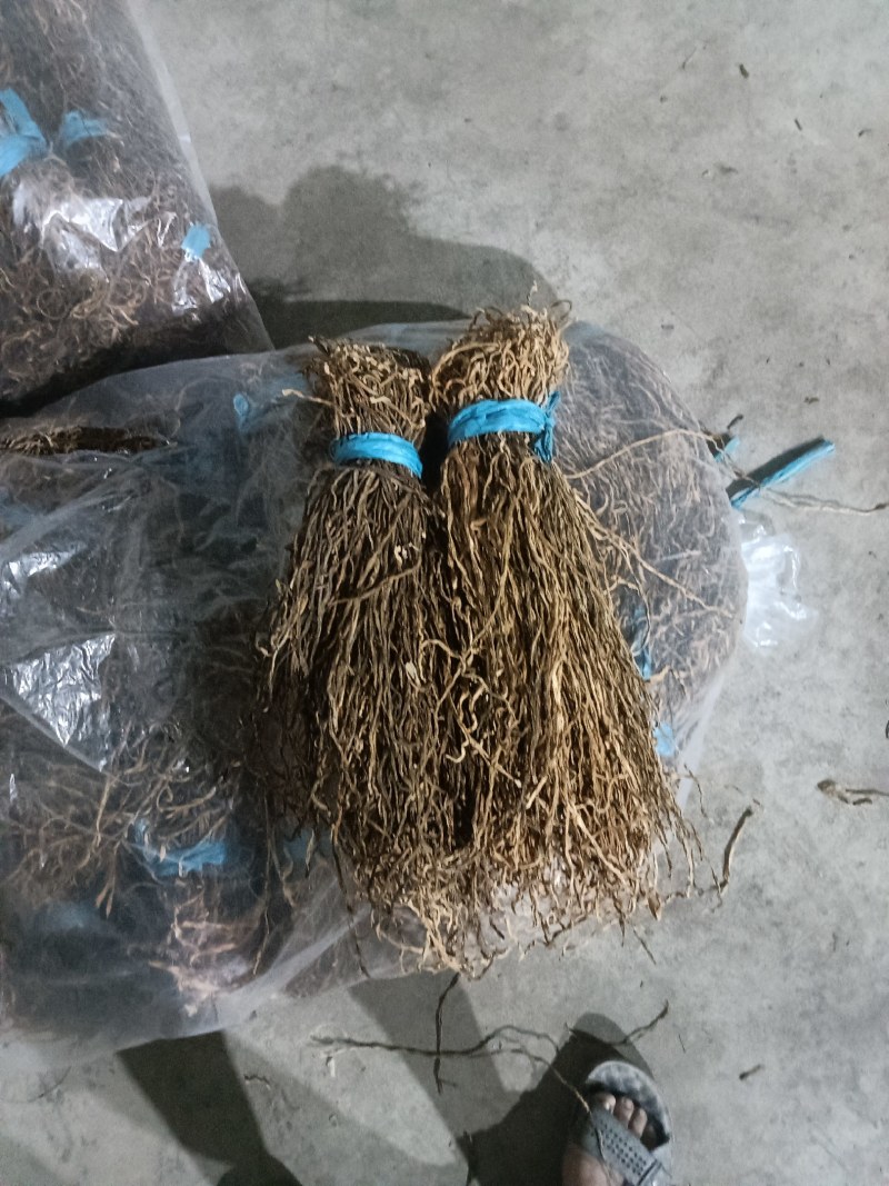 精品晒干豆角大量有货