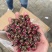 玫瑰花干泡茶特级玫瑰花茶云南金边玫瑰花干花批发泡茶喝的