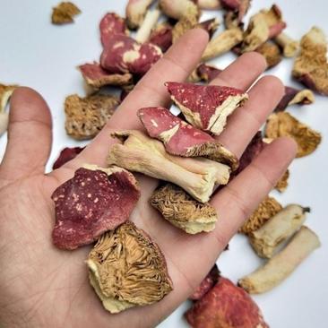 方城野生红菇碎片，肉厚特甜的野生红菇碎破片特价包邮