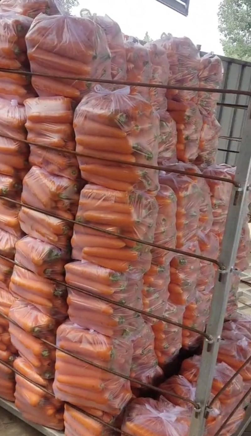 水洗胡萝卜，养殖红萝卜，可按需做货，各种规格都有，