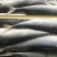 鲅鱼鲐鲅鱼青占箱装重19斤4-6两今年新货货源稳
