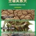 （厂家直供）松土精源沃松土精货源充足，全国接单，欢迎合作