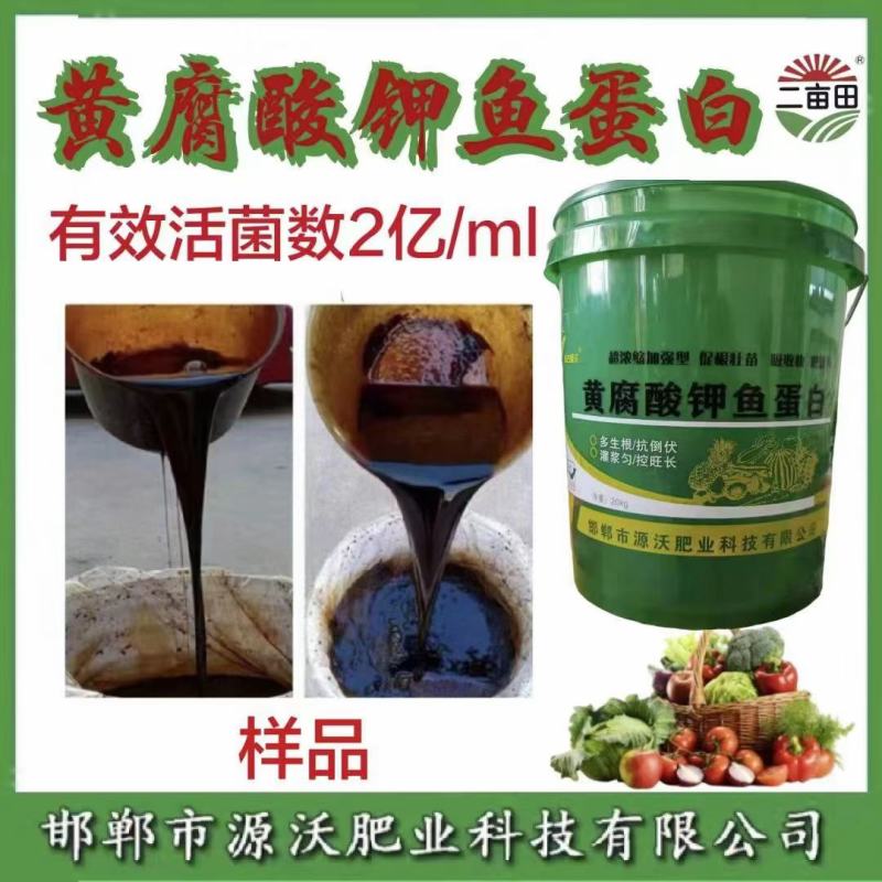 黄腐酸钾鱼蛋白改良土壤保水保肥促根壮苗增产增收