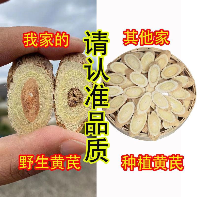 甘肃野生大黄芪切片批发中药材黄茋当归党参北芪片北其泡