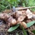 贵州深山土茯苓野生茯苓供应