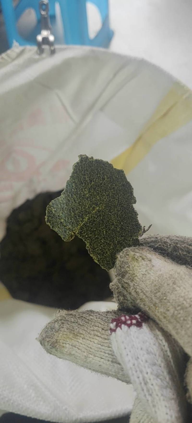 贵州安顺大拉供应菜籽饼，青饼，一手货源，价格优惠，质量保证