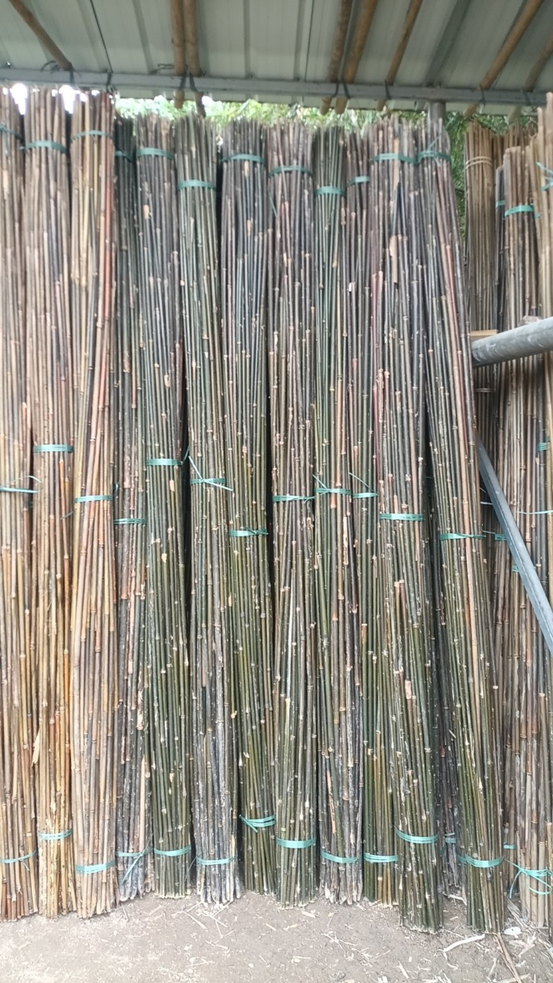 竹子豌豆角竹西红柿竹番茄豆角架竹家用农用作物竹牵引竹