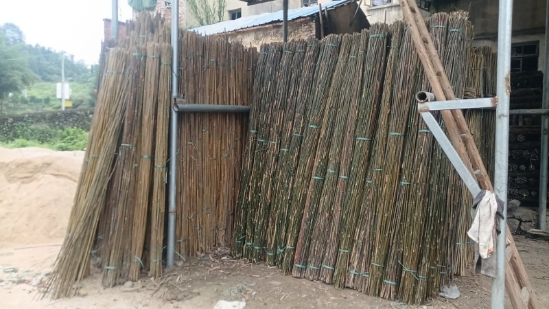 竹子豌豆角竹西红柿竹番茄豆角架竹家用农用作物竹牵引竹