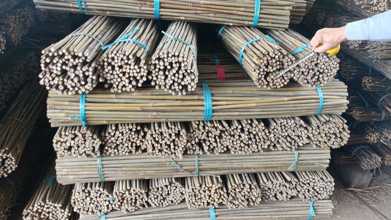竹子豌豆角竹西红柿竹番茄豆角架竹家用农用作物竹牵引竹
