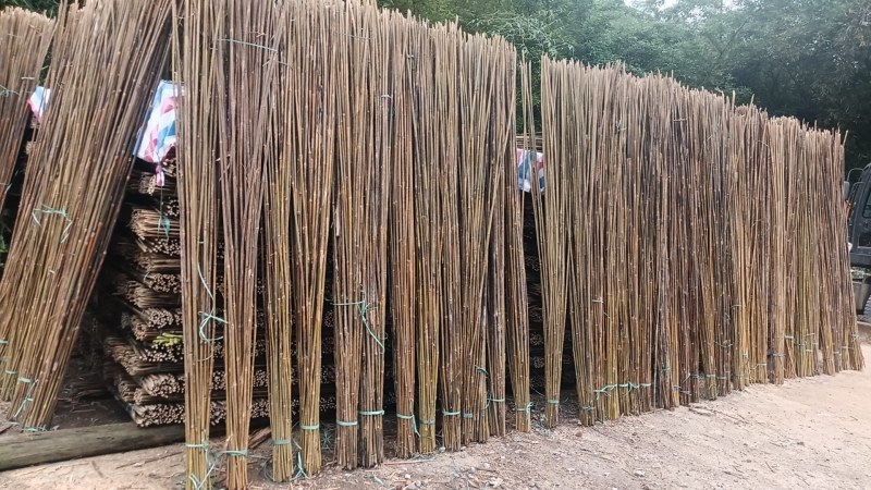 竹子豌豆角竹西红柿竹番茄豆角架竹家用农用作物竹牵引竹