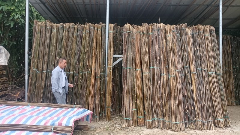 竹子豌豆角竹西红柿竹番茄豆角架竹家用农用作物竹牵引竹
