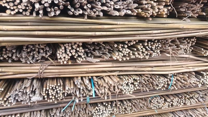 竹子豌豆角竹西红柿竹番茄豆角架竹家用农用作物竹牵引竹
