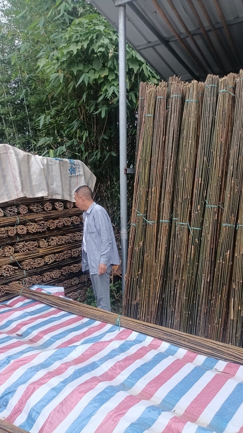 竹子豌豆角竹西红柿竹番茄豆角架竹家用农用作物竹牵引竹