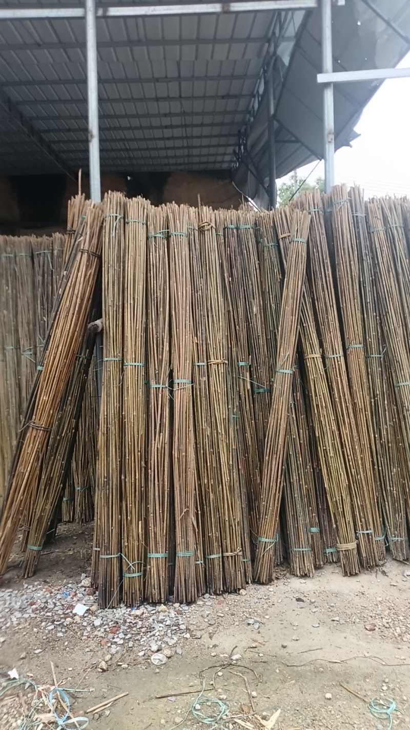 竹子豌豆角竹西红柿竹番茄豆角架竹家用农用作物竹牵引竹