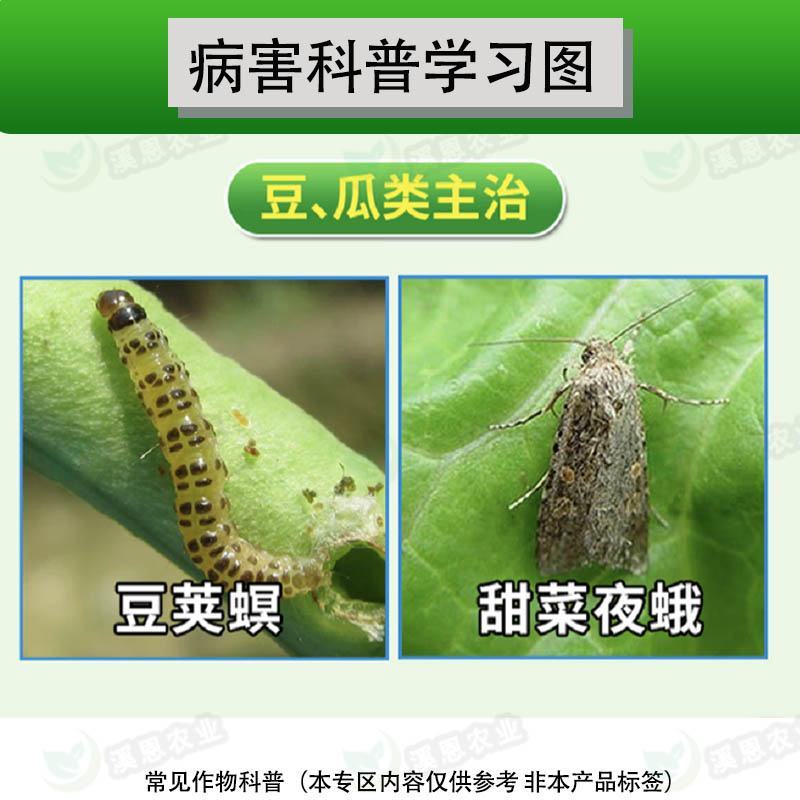 氯虫苯甲酰胺甘蓝甜菜夜蛾桃小食心虫稻纵卷叶螟农药杀虫剂