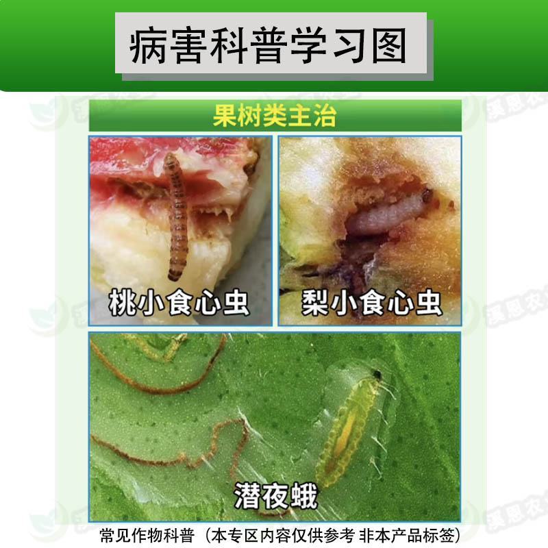 氯虫苯甲酰胺甘蓝甜菜夜蛾桃小食心虫稻纵卷叶螟农药杀虫剂