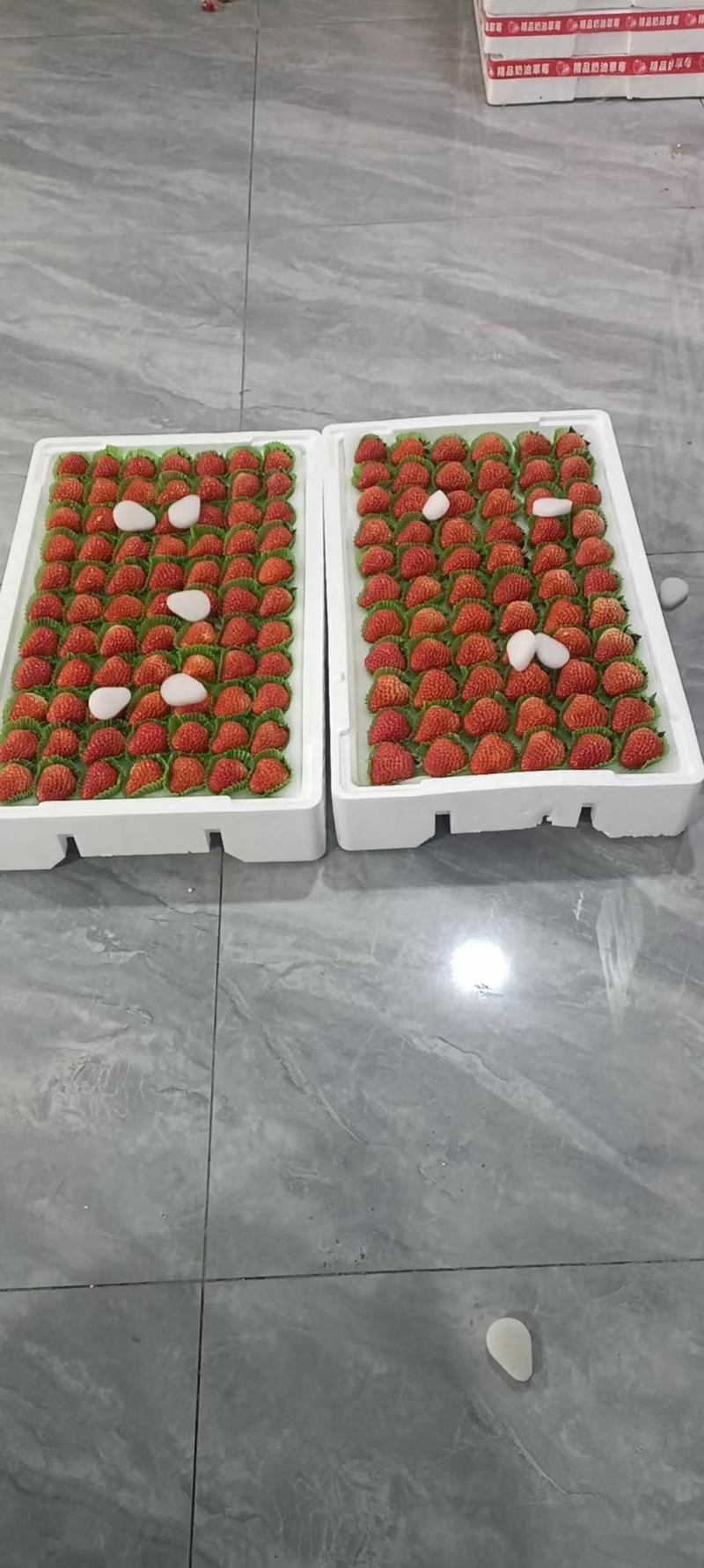 【推荐】大量供应长丰精品红颜草莓，诚信代办～张祥