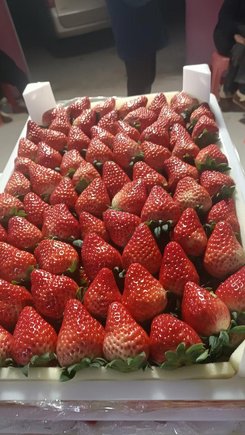 【推荐】大量供应长丰精品红颜草莓，诚信代办～张祥