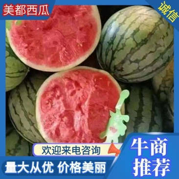湖北美都，麒麟瓜8424无籽西瓜地头直发供货对接超市美团